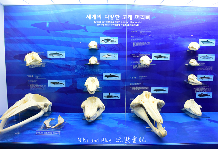 韓國自然史博物館20.jpg
