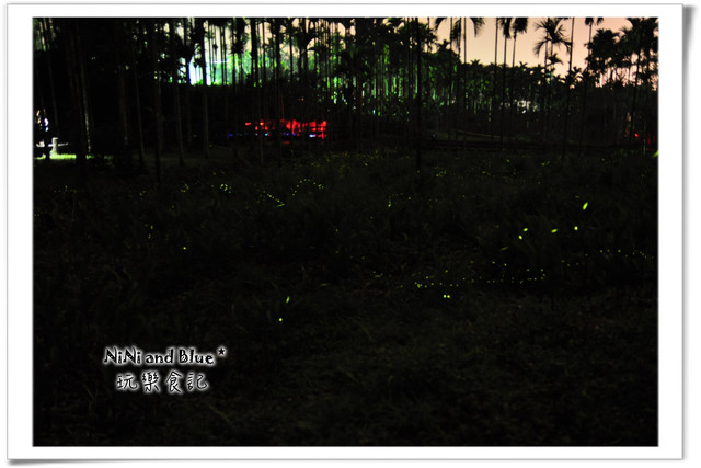 拍螢火蟲技巧,如何拍螢火蟲,南投螢火蟲,鹿谷螢火蟲,三生緣步道,三生緣螢火蟲,螢火蟲