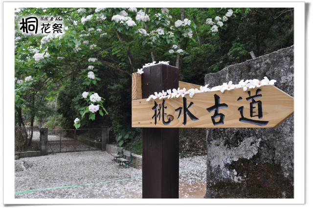 桐花祭 挑水古道nini And Blue 玩樂食記