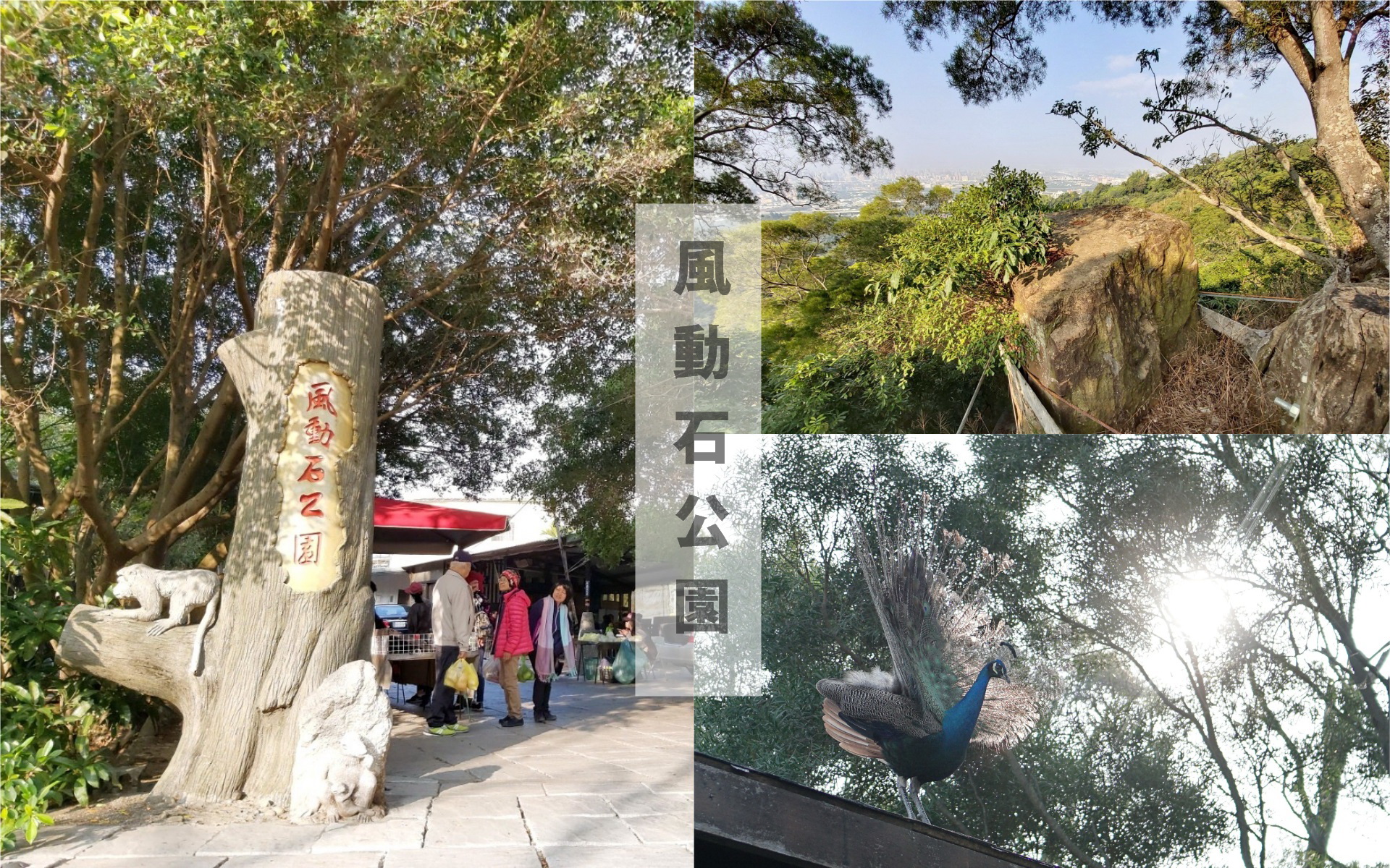 風動石公園,台中一日遊,大坑登山步道,大坑風景區 @Nini and Blue  玩樂食記