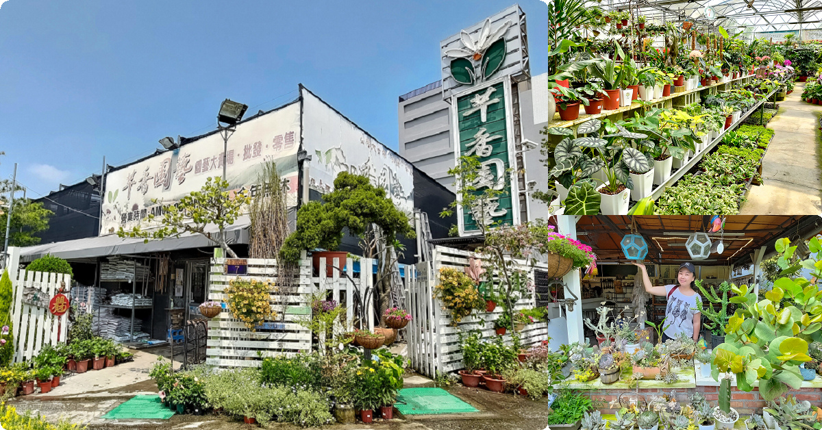 芊香園藝 佔地500坪的台中大坑花市 多肉觀葉植物到樹苗資材等一站搞定 Nini And Blue 玩樂食記