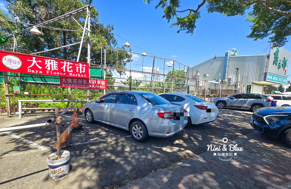 大雅花市-台中超狂花市，觀葉植物、多肉植物、季節花卉等花卉20元起，買5盆以上更超值(原八角農園)