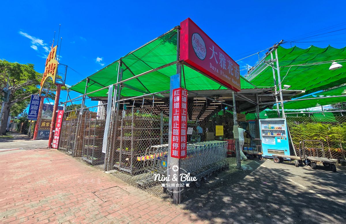 大雅花市-台中超狂花市，觀葉植物、多肉植物、季節花卉等花卉20元起，買5盆以上更超值(原八角農園)