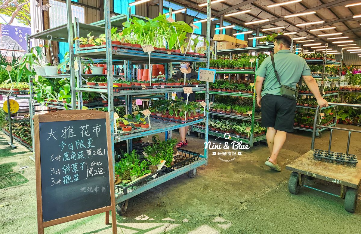 大雅花市-台中超狂花市，觀葉植物、多肉植物、季節花卉等花卉20元起，買5盆以上更超值(原八角農園)
