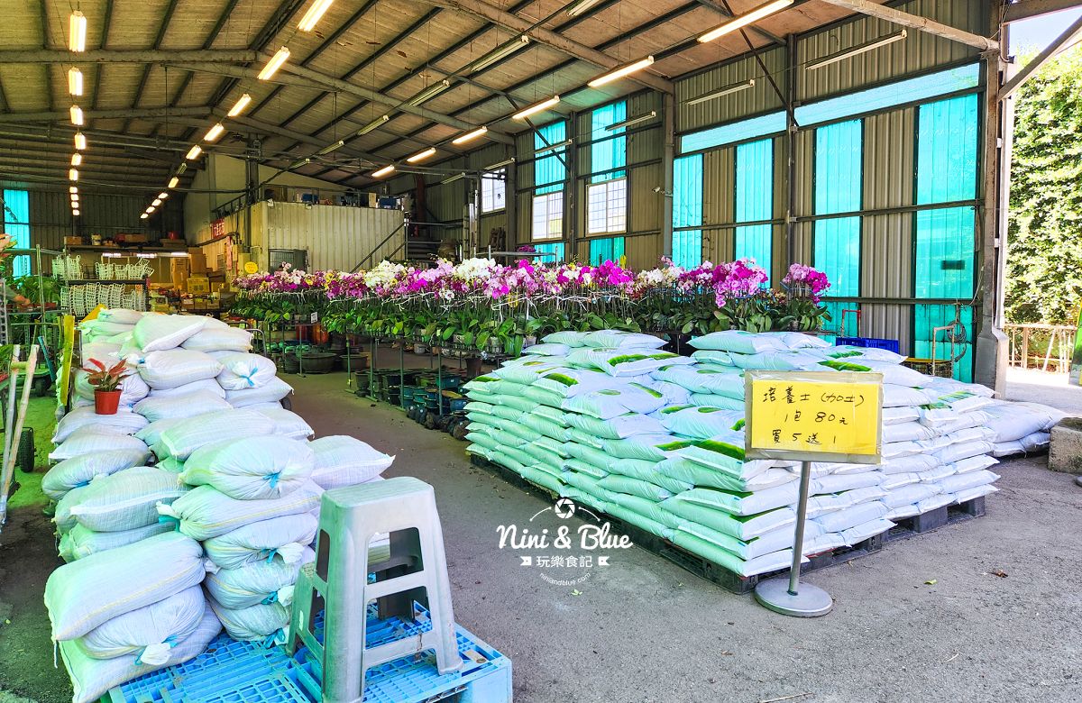 大雅花市-台中超狂花市，觀葉植物、多肉植物、季節花卉等花卉20元起，買5盆以上更超值(原八角農園)