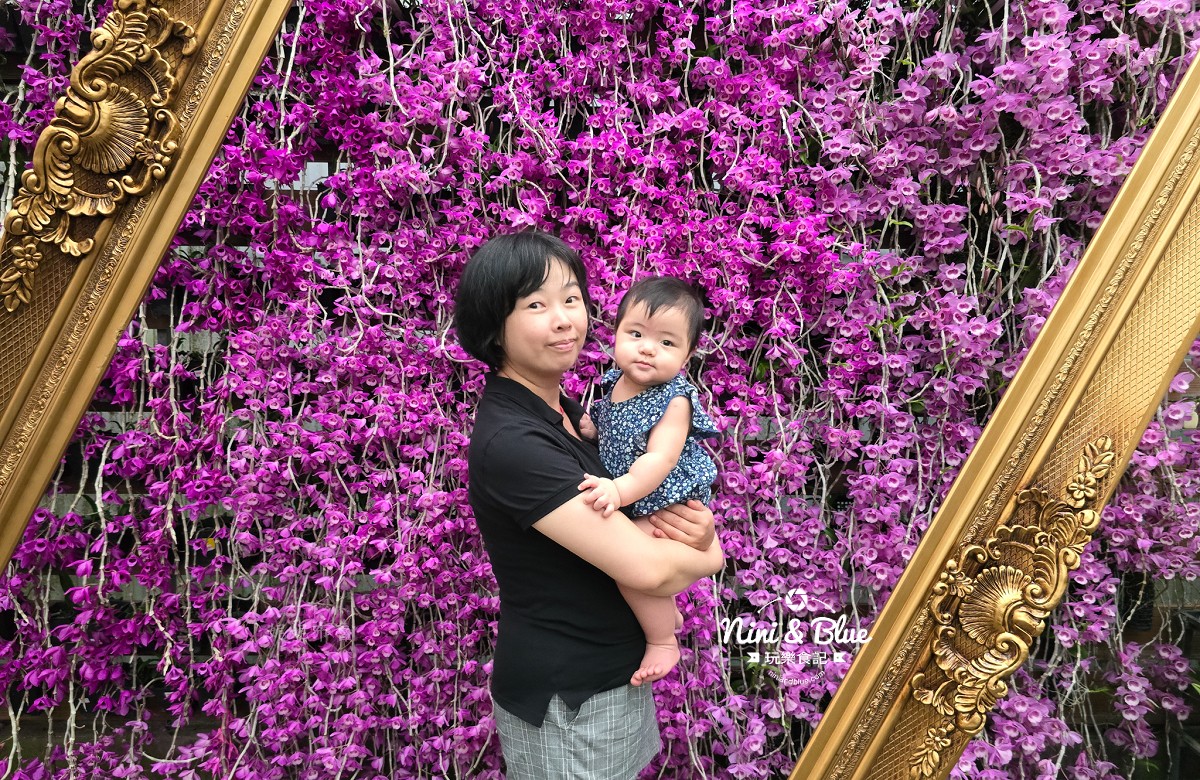 台中景點,石斛蘭景點,台中花市,台中石斛蘭,后里景點,后里石斛蘭,台中后里,萌芳花卉農場,后里蘭花,后里花卉,后里農場,台中蘭花,萌芳花卉,萌芳石斛蘭