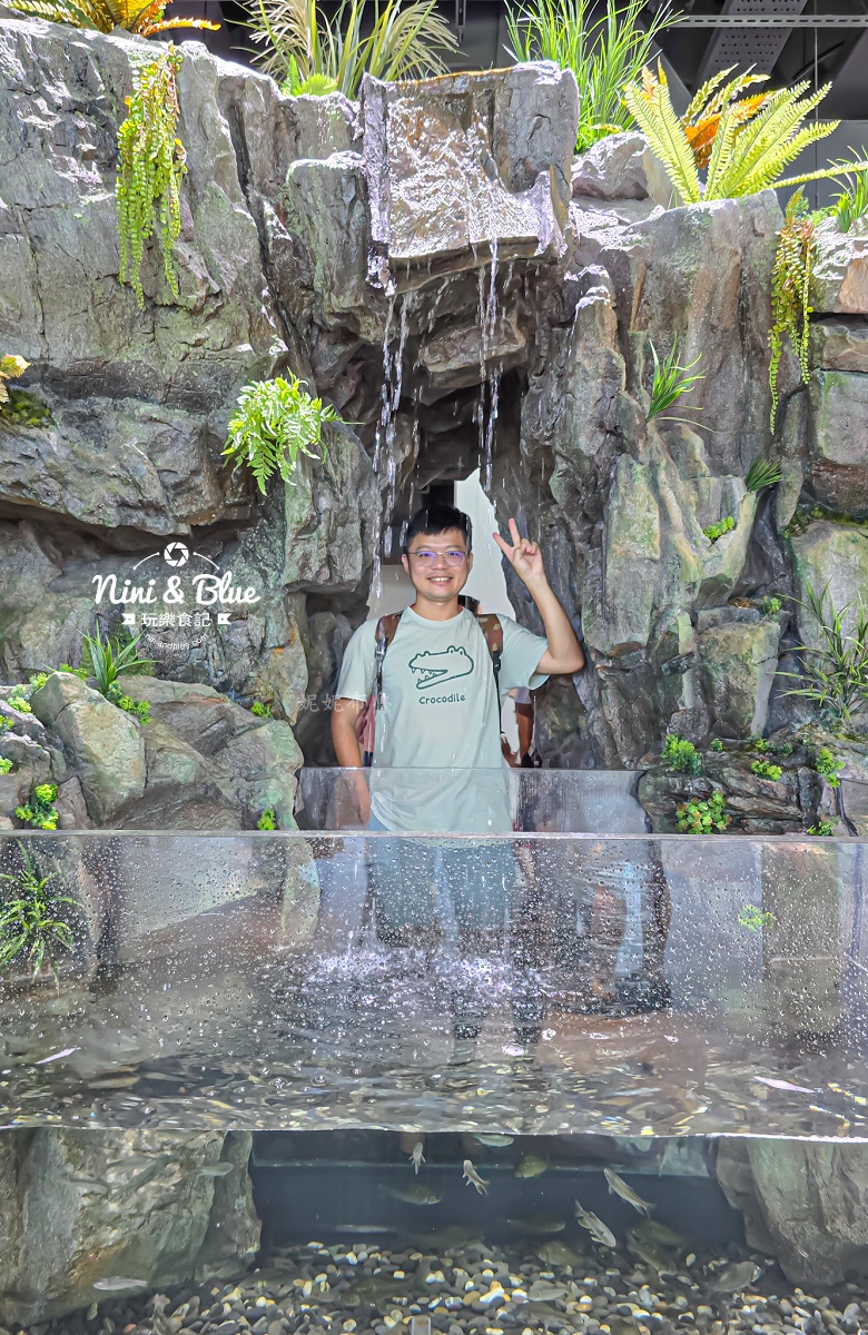 台中海洋館-首座台中水族館就在梧棲漁港旁.門票,營業時間,交通及8大展區全搞定！