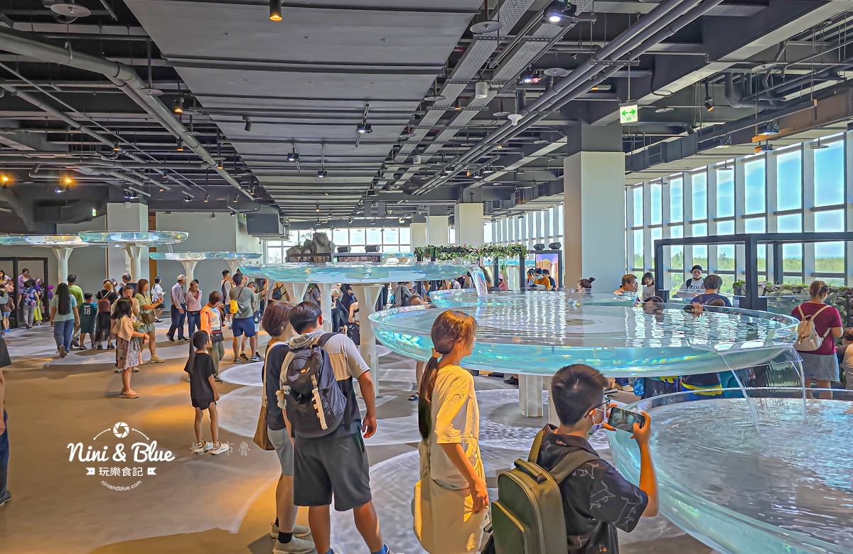 台中海洋館-首座台中水族館就在梧棲漁港旁.門票,營業時間,交通及8大展區全搞定！