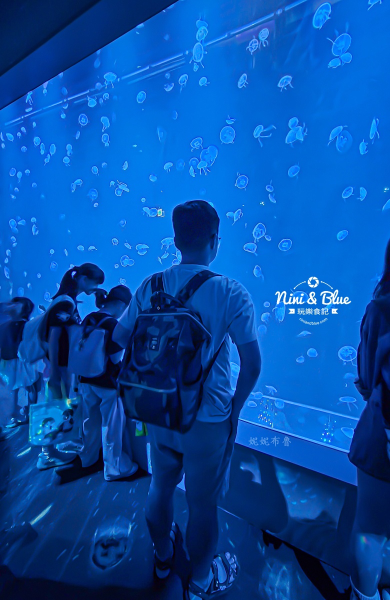 台中海洋館-首座台中水族館就在梧棲漁港旁.門票,營業時間,交通及8大展區全搞定！