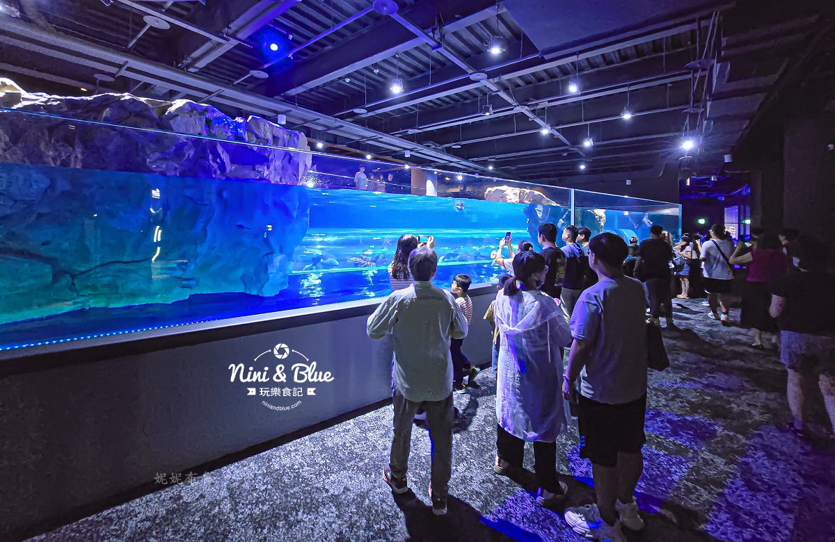 台中海洋館-首座台中水族館就在梧棲漁港旁.門票,營業時間,交通及8大展區全搞定！