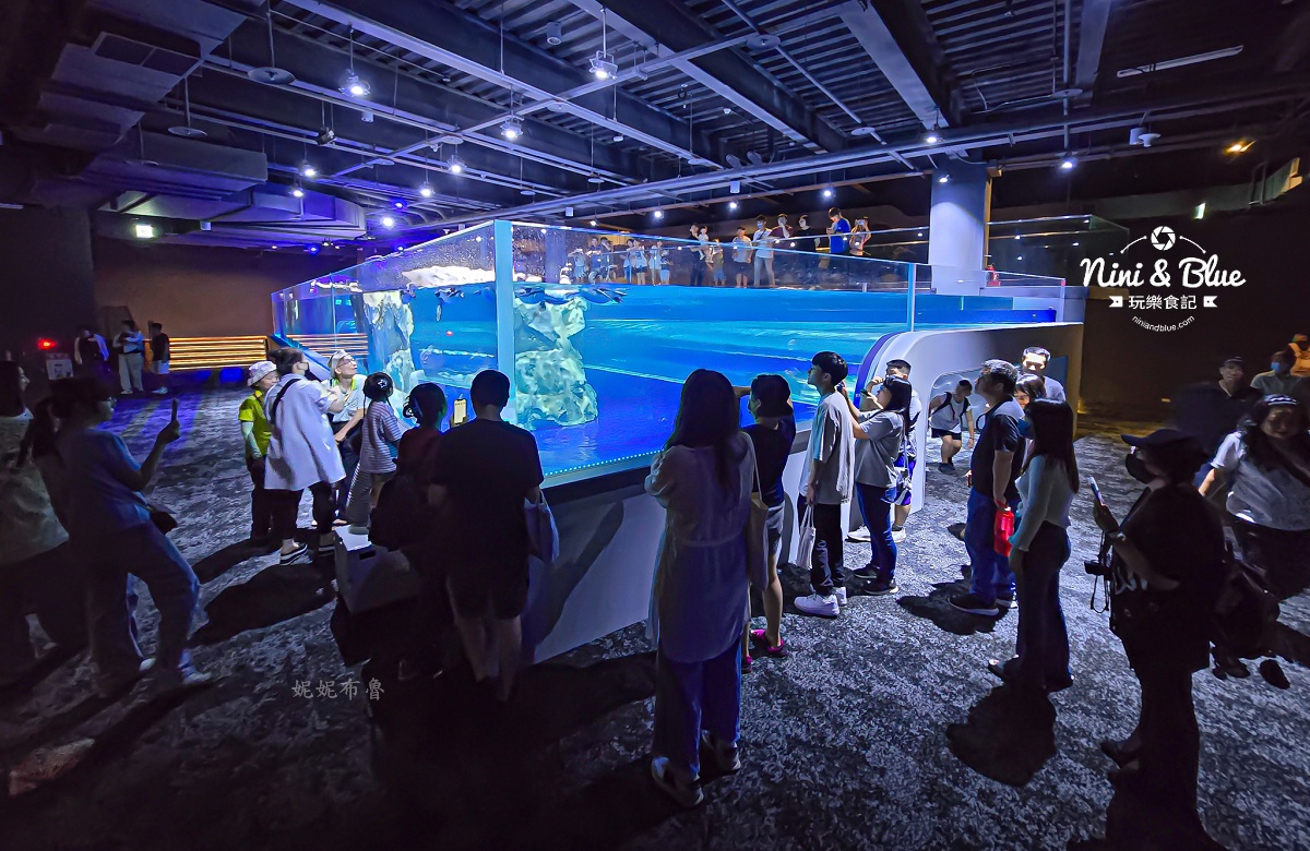 台中海洋館-首座台中水族館就在梧棲漁港旁.門票,營業時間,交通及8大展區全搞定！