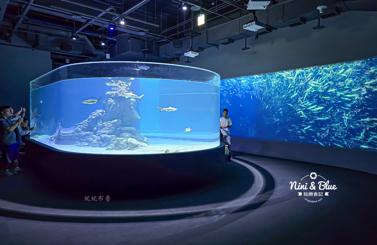 台中海洋館-首座台中水族館就在梧棲漁港旁.門票,營業時間,交通及8大展區全搞定！