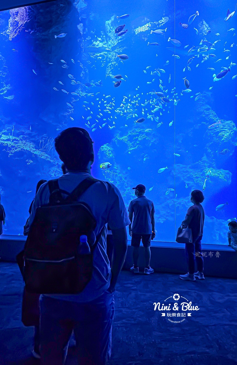 台中海洋館-首座台中水族館就在梧棲漁港旁.門票,營業時間,交通及8大展區全搞定！