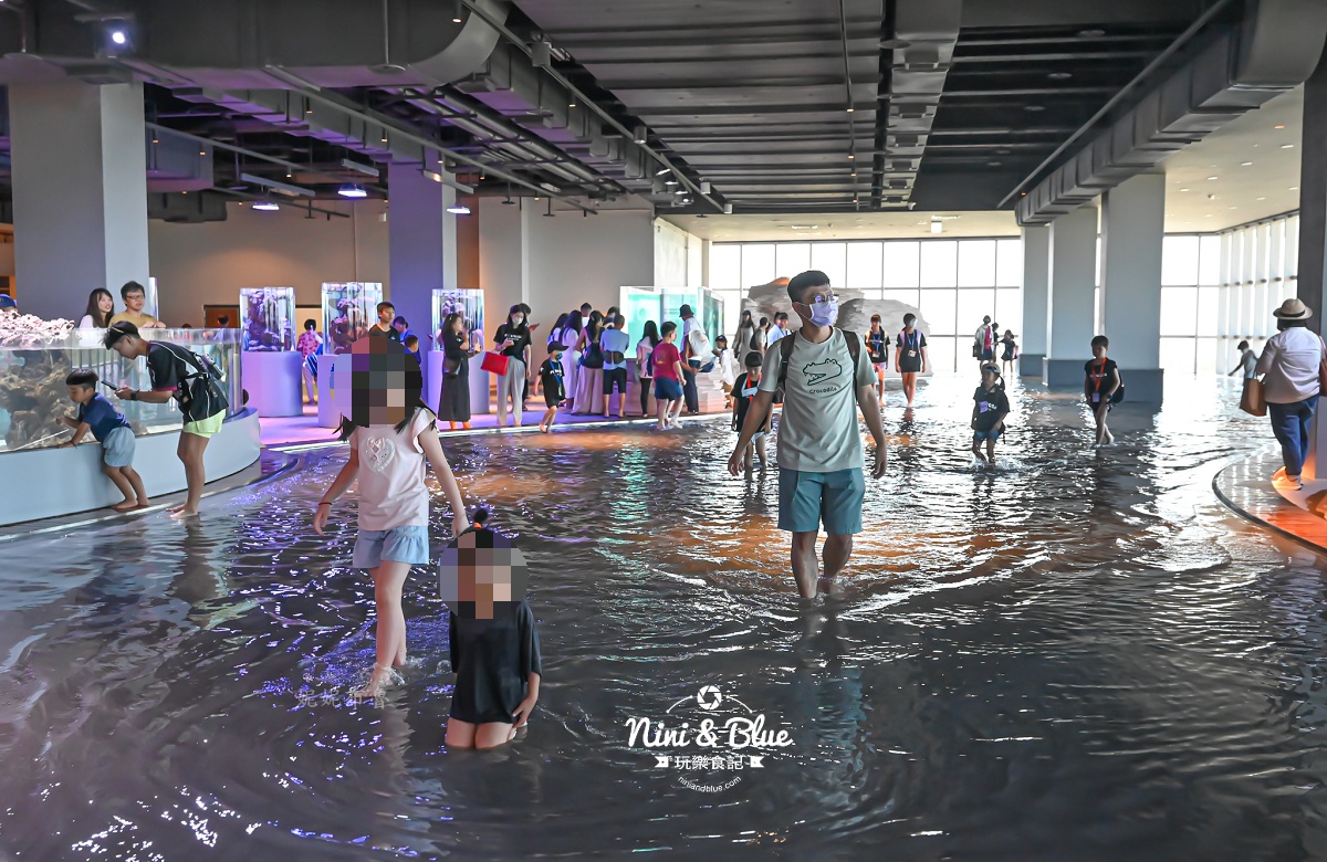 台中海洋館-首座台中水族館就在梧棲漁港旁.門票,營業時間,交通及8大展區全搞定！