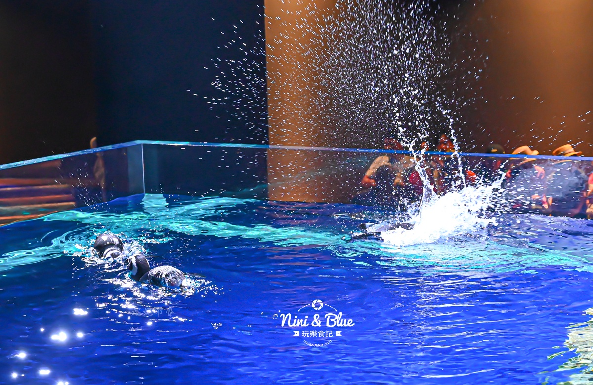 台中海洋館-首座台中水族館就在梧棲漁港旁.門票,營業時間,交通及8大展區全搞定！