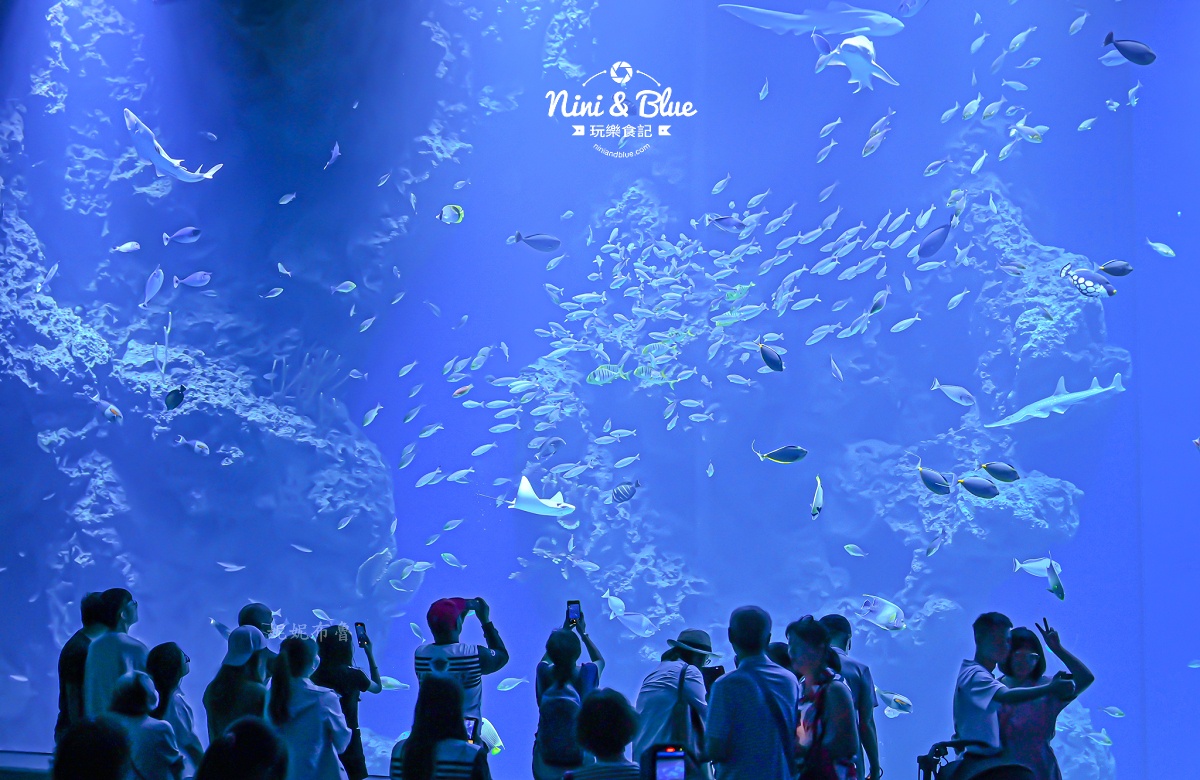 台中海洋館-首座台中水族館就在梧棲漁港旁.門票,營業時間,交通及8大展區全搞定！