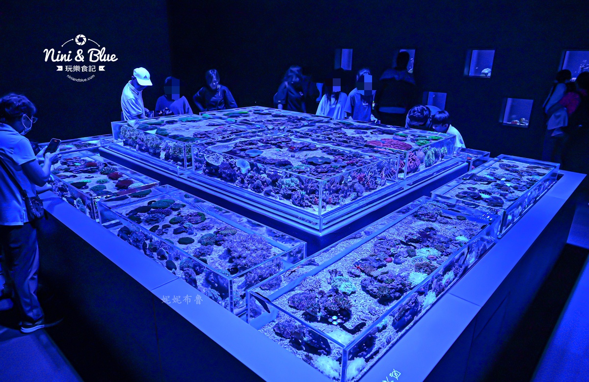 台中海洋館-首座台中水族館就在梧棲漁港旁.門票,營業時間,交通及8大展區全搞定！