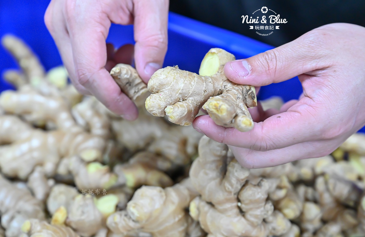 搶筷純薑汁黃金薑母鴨 宅配年菜價格 薑