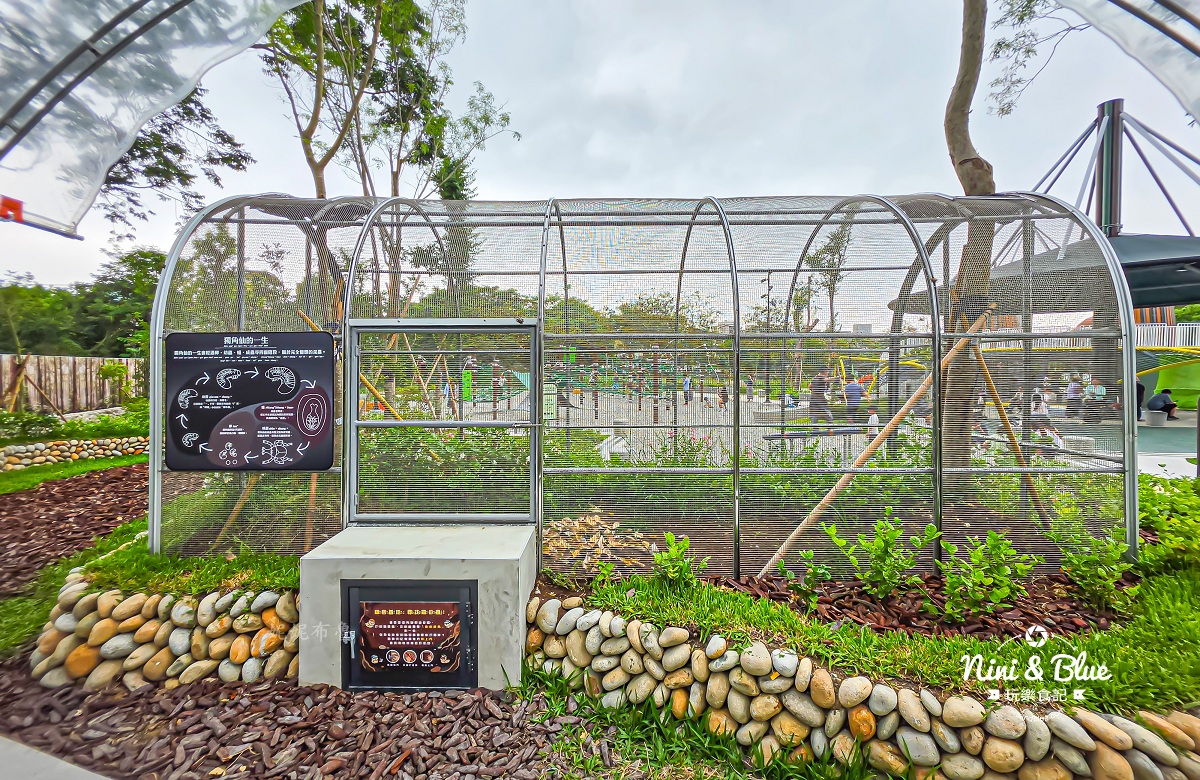 獨角仙生態公園 台中東勢親子玩水景點16