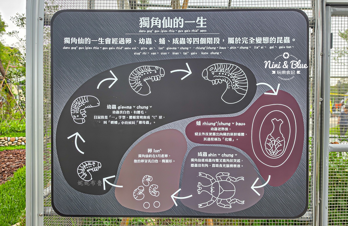 獨角仙生態公園 台中東勢親子玩水景點17