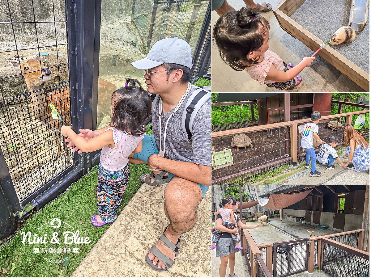 沖繩兒童王國門票 餵動物