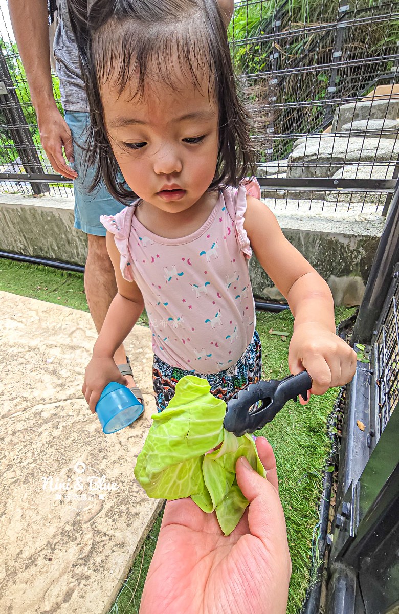 沖繩兒童王國門票 餵動物