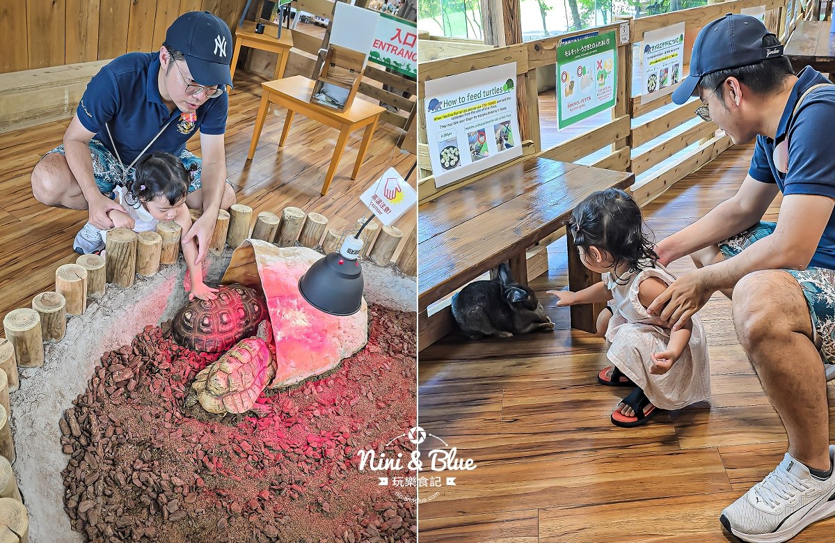 沖繩東南植物園 摸兔子