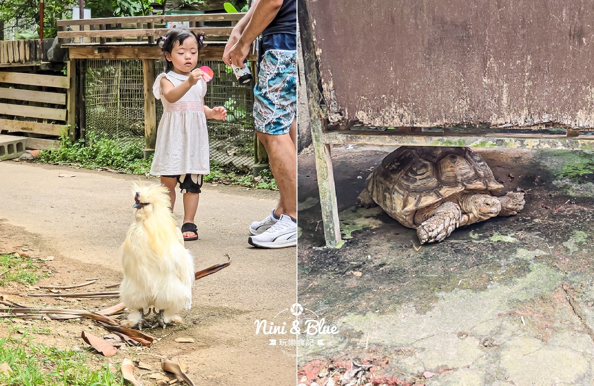 沖繩東南植物園 戶外區 沖繩東南植物園 戶外區