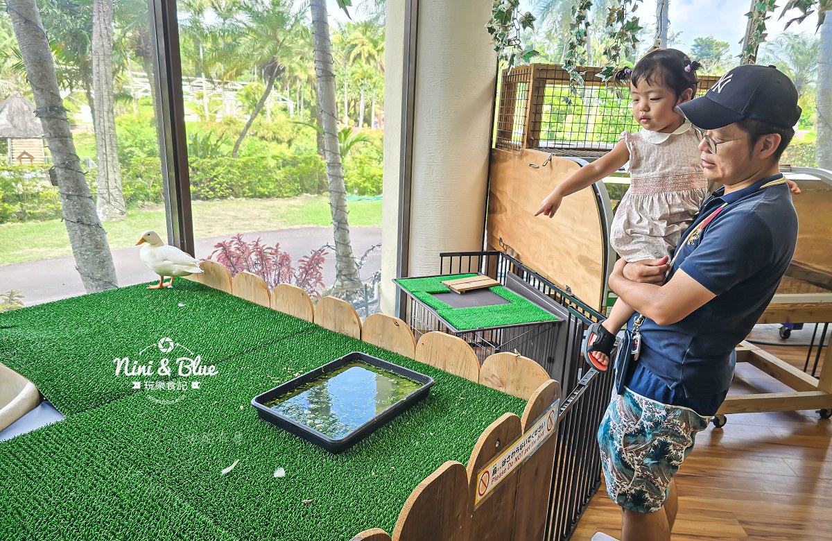 沖繩東南植物園餵鴨子