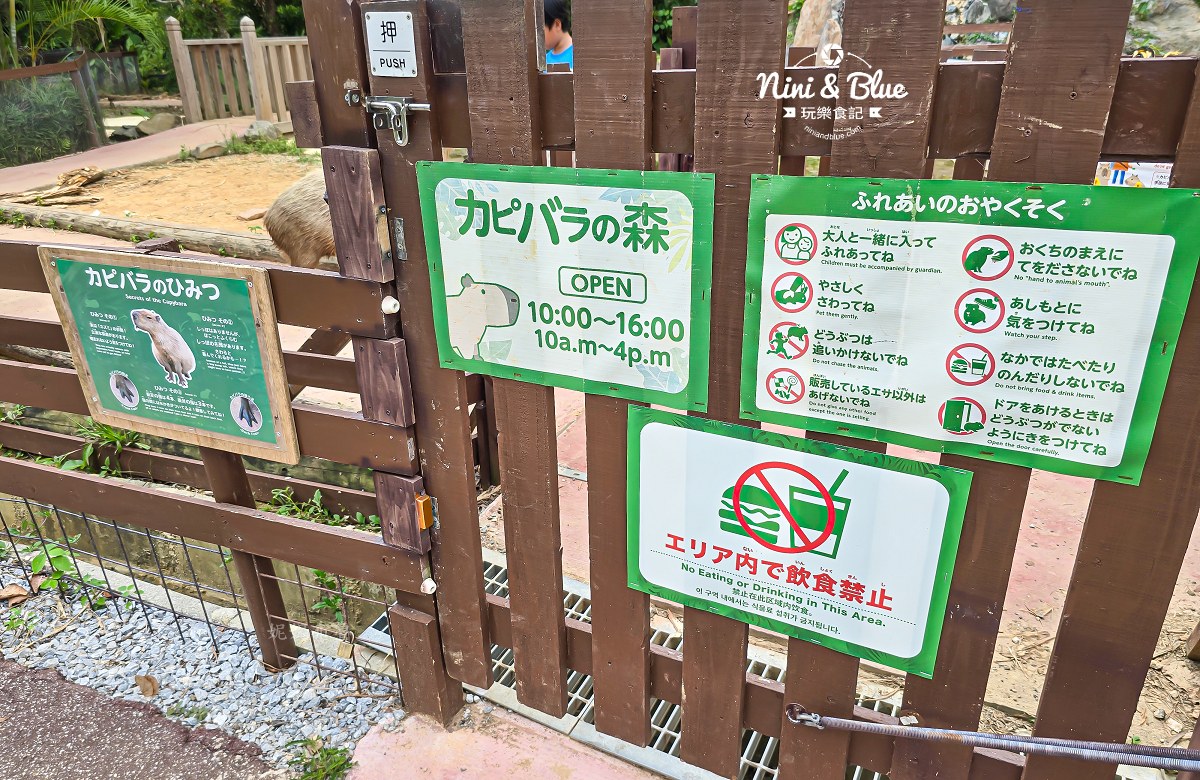 沖繩東南植物園 水豚君 沖繩東南植物園 水豚君