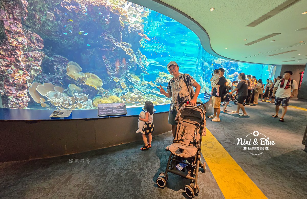 美麗海水族館餵食秀攻略 珊瑚區 美麗海水族館餵食秀攻略 珊瑚區
