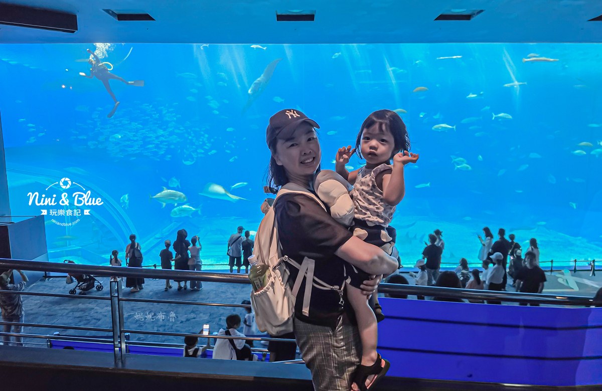 美麗海水族館餵食秀攻略 必拍