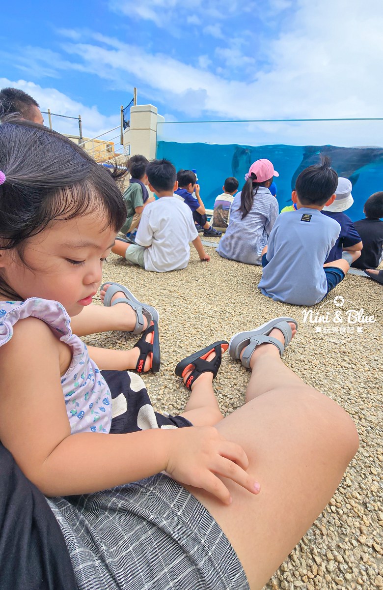 美麗海水族館餵食秀攻略 位置 美麗海水族館餵食秀攻略 位置