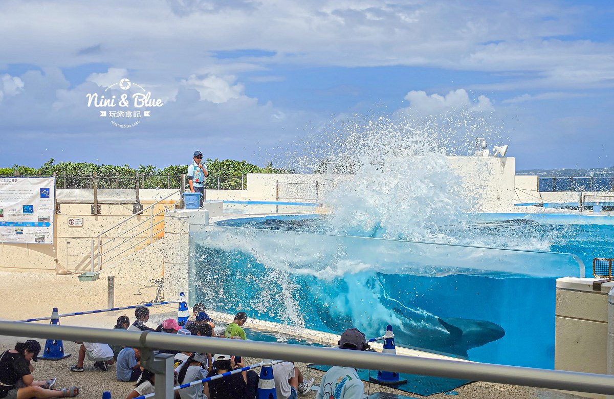 美麗海水族館餵食秀攻略 海豚潑水 美麗海水族館餵食秀攻略 海豚潑水