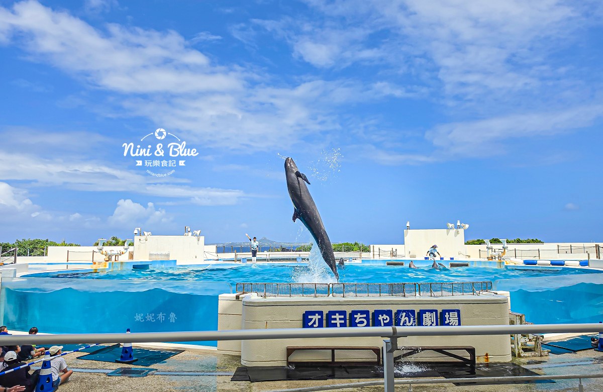 美麗海水族館餵食秀攻略
