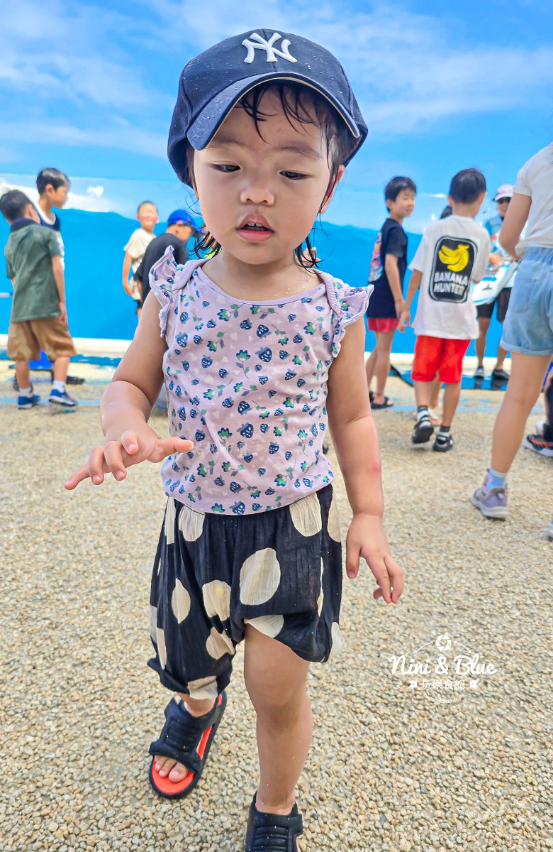 美麗海水族館餵食秀攻略 海豚秀