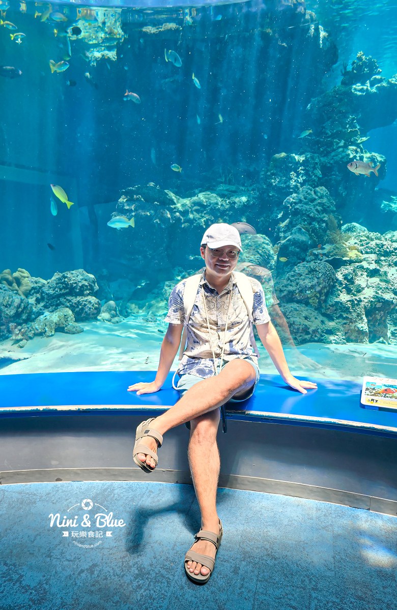 美麗海水族館餵食秀攻略 拍照區 美麗海水族館餵食秀攻略 拍照區