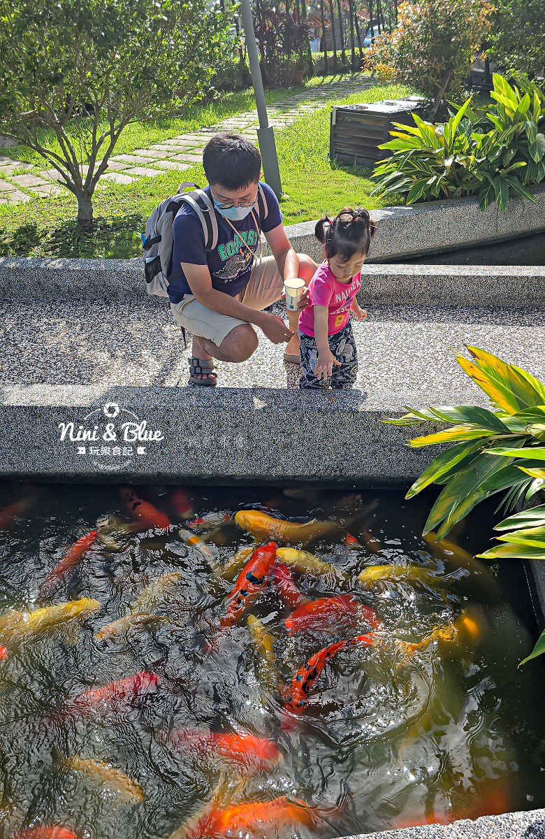 村却國際溫泉酒店親子住宿團購 免費餵魚 村却國際溫泉酒店親子住宿團購 免費餵魚