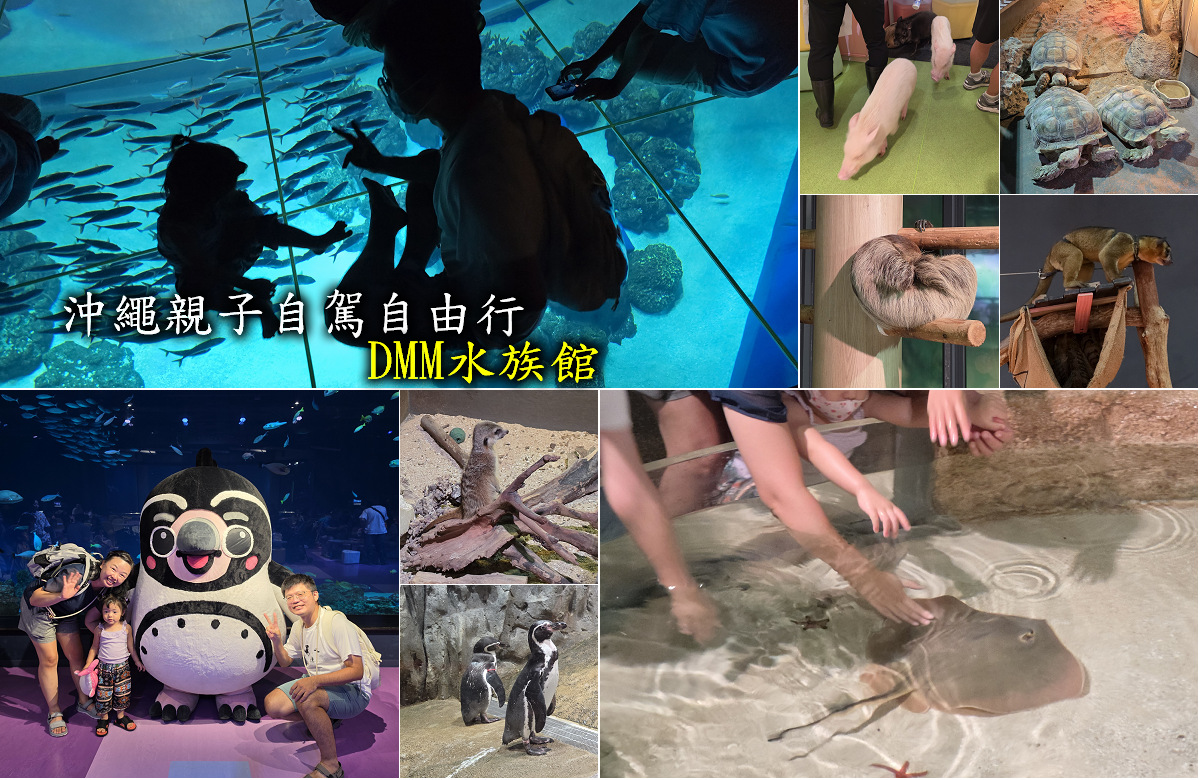 沖繩親子自駕自由行DMM水族館 沖繩親子自駕自由行DMM水族館