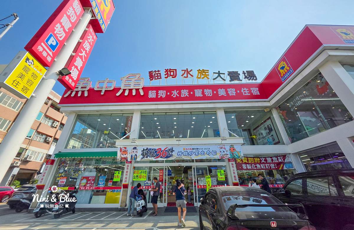 魚中魚貓狗水族大賣場-金馬店》餵魚體驗.近距離觀察兔子.狐獴.陸龜.守宮等小動物.彰化親子景點推薦 @Nini and Blue 玩樂食記