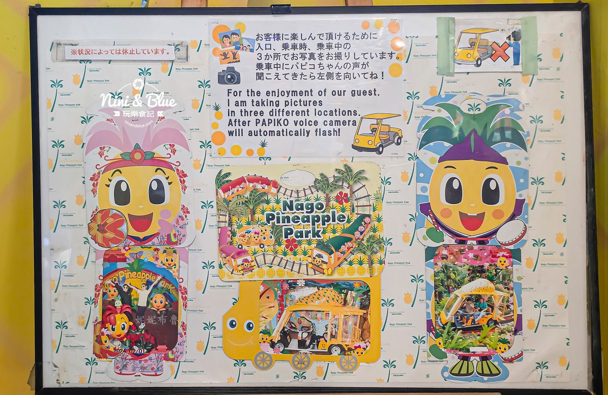 名護鳳梨園 沖繩親子 拍照收費