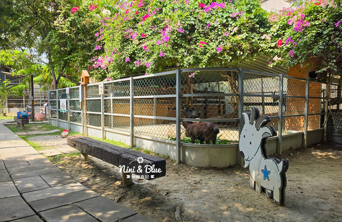 赤腳丫生態農莊台中景點可愛動物區1 赤腳丫生態農莊台中景點可愛動物區1