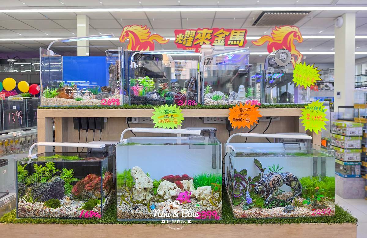 魚中魚金馬店親子景點 魚缸販售