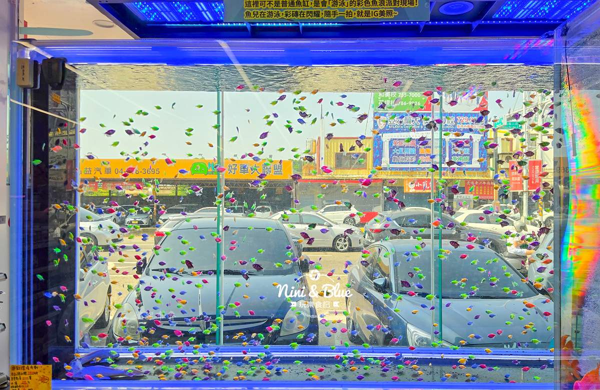 魚中魚金馬店親子景點 彩磚網美缸