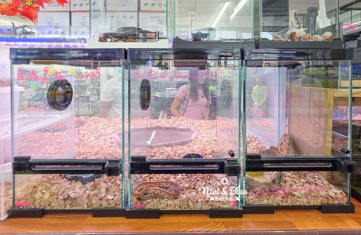 魚中魚金馬店親子景點 爬蟲