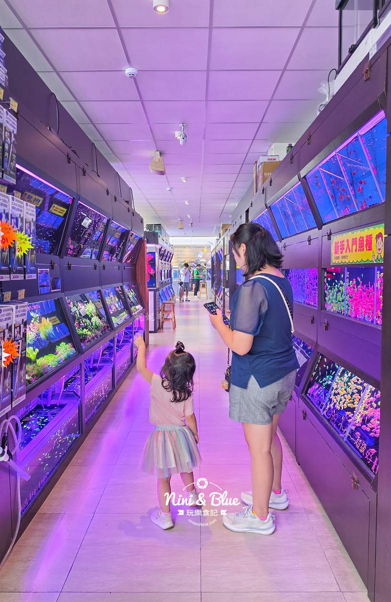 魚中魚金馬店親子景點 魚類販售