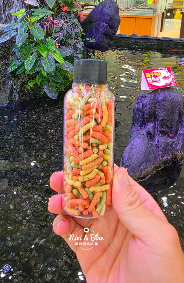 魚中魚金馬店親子景點 魚飼料