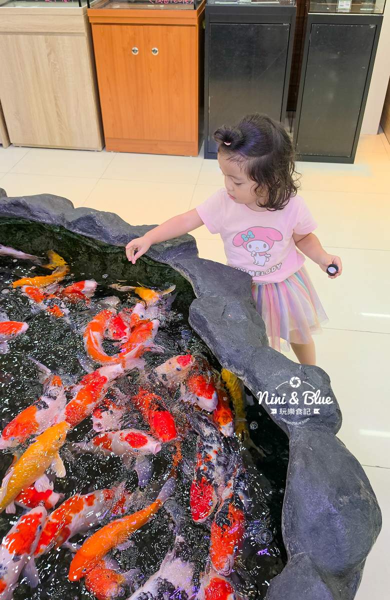 魚中魚金馬店親子景點 餵魚體驗