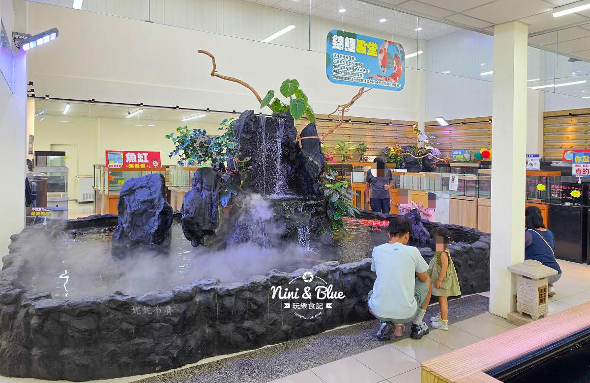 魚中魚金馬店親子景點 中部最大室內錦鯉池