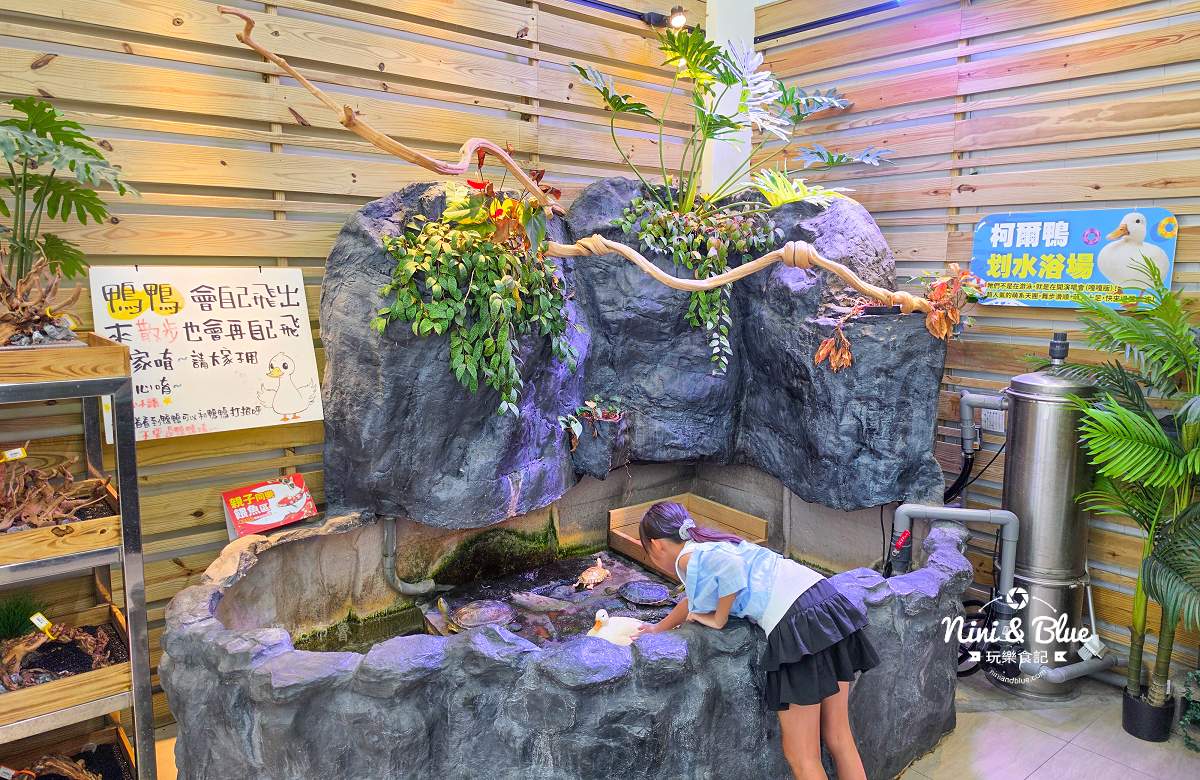 魚中魚金馬店親子景點 柯爾鴨滑水浴場1